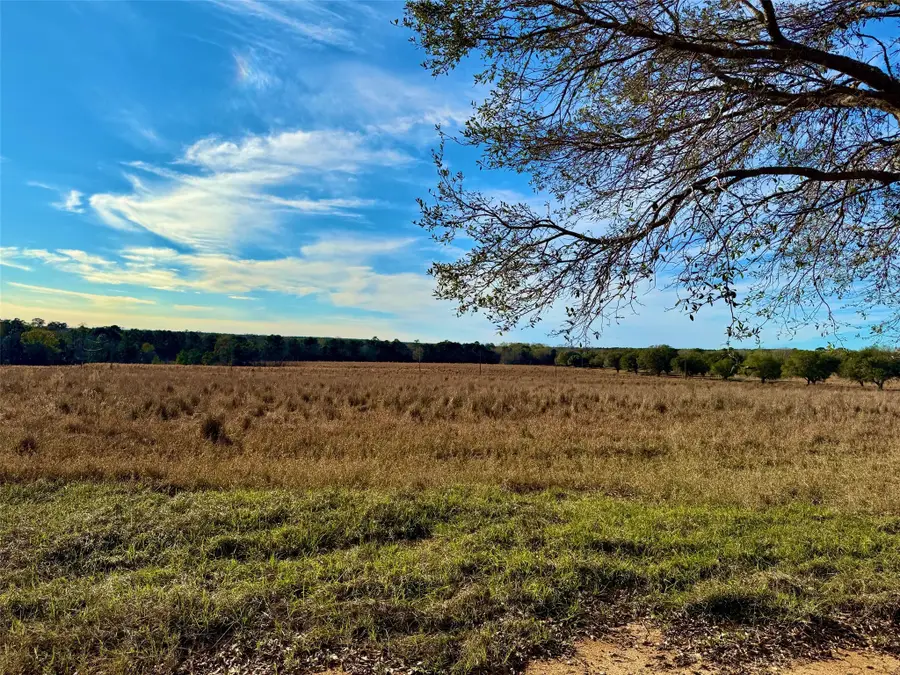 Lot 103 Lakeland Drive, Hillister, TX 77624 - Image #2