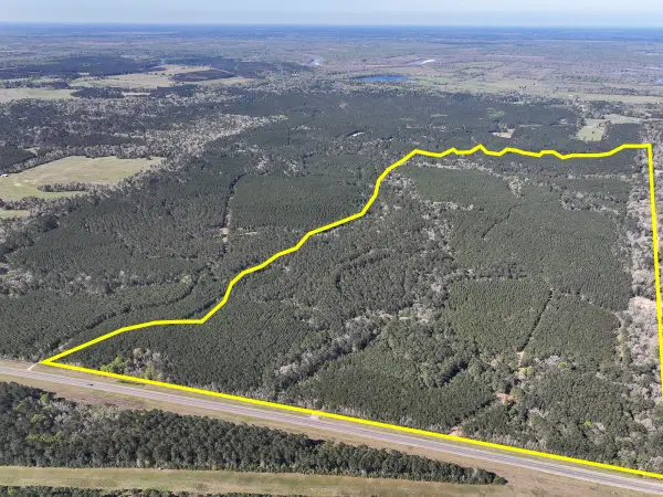 5 Highway 146, Livingston, TX 77351