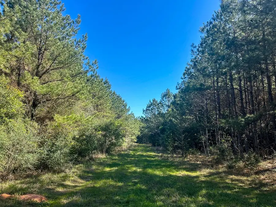 5 Highway 146, Livingston, TX 77351 - #2