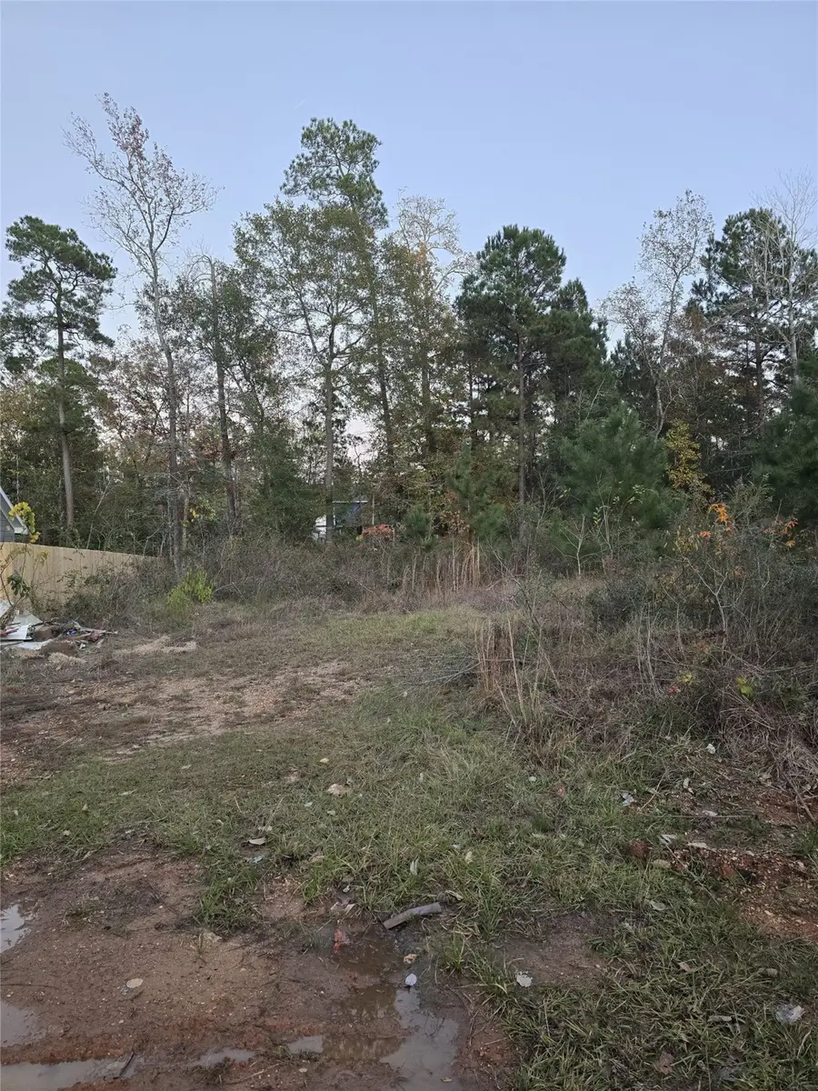 TBD Indian Creek Circle, Willis, TX 77378 - Image #2