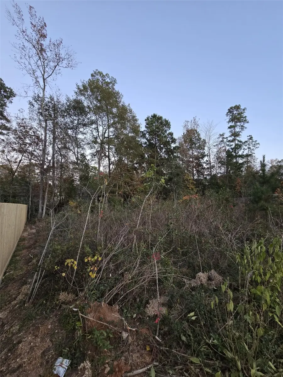 TBD Indian Creek Circle, Willis, TX 77378 - Image #3