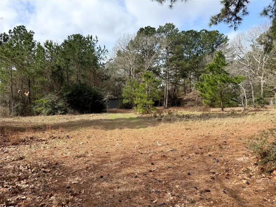 15409 Cherry Laurel Lane, Navasota, TX 77868 - #3