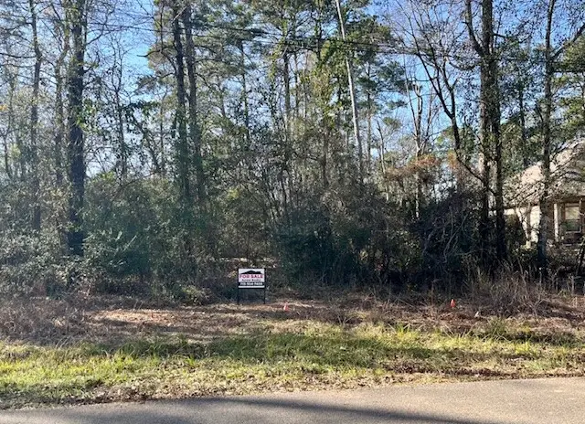 na Big Spring Circle, Willis, TX 77378 - Image #1