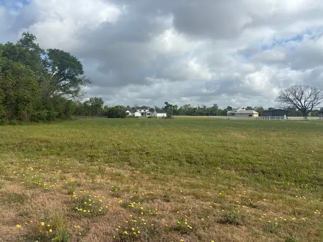 23203 Sugar Mill Court, Angleton, TX 77515 - #3