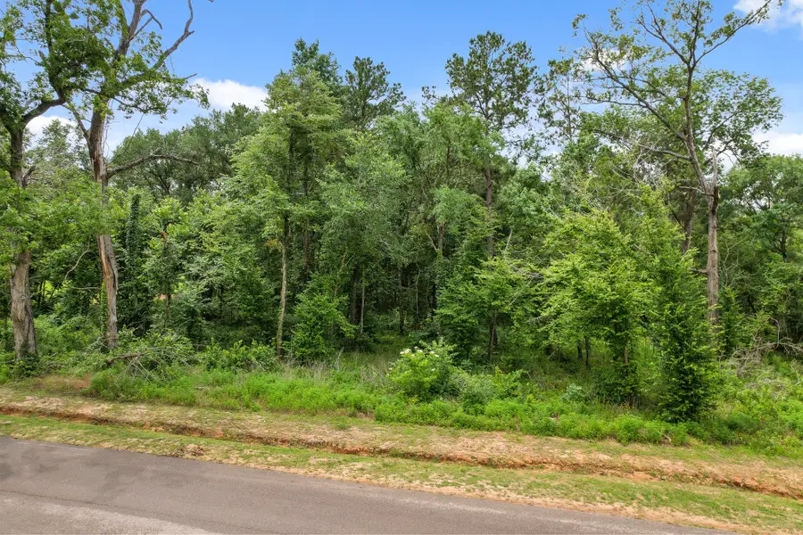 24883 Two Rivers Road, Montgomery, TX 77316 - #3