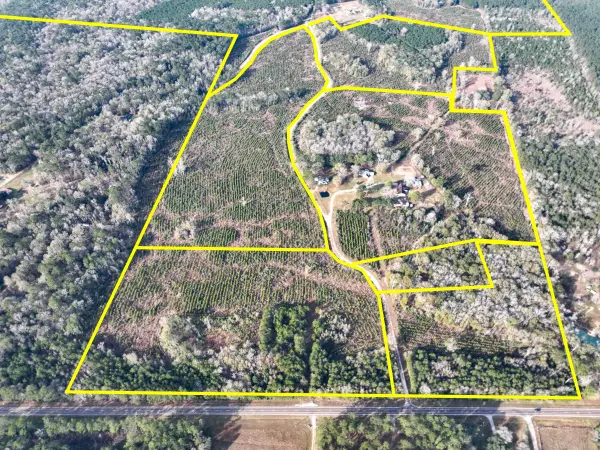 T-3 Tall Cotton Road, Saratoga, TX 77585