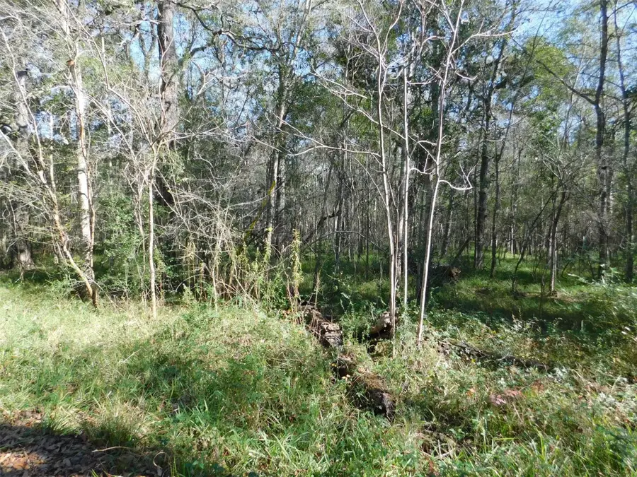 0 Brazos River Drive, Damon, TX 77430 - #3