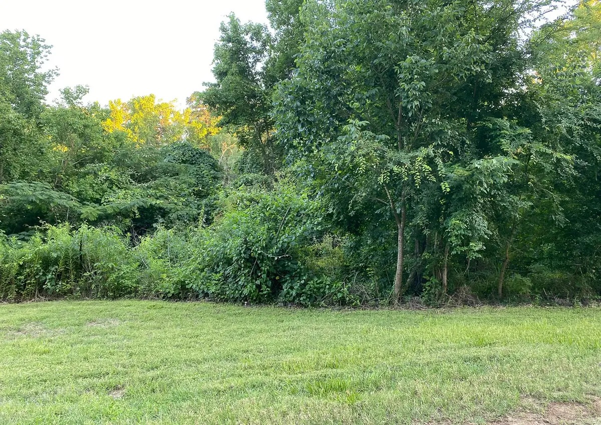 00 White Oak Drive, Point Blank, TX 77364 - #1