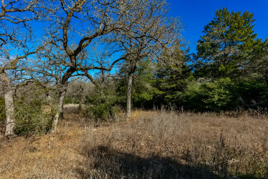10162 County Road 321, Caldwell, TX 77836 - #3