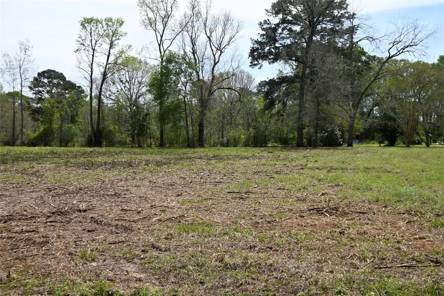 lot 2 County Road 2360, Hardin, TX 77575 - #2