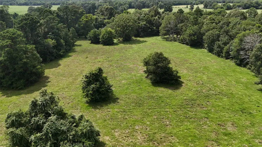0000 Jones Rd Road, New Waverly, TX 77358 - #2