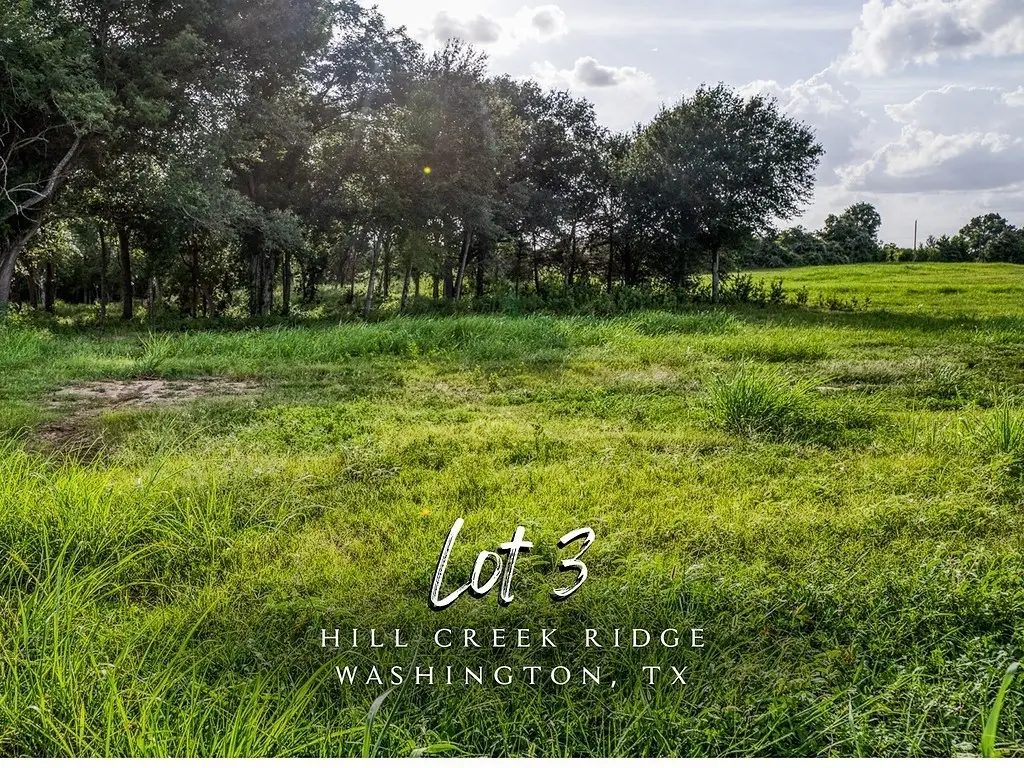 Lot 3 Hargrove Lane, Washington, TX 77880 - #1