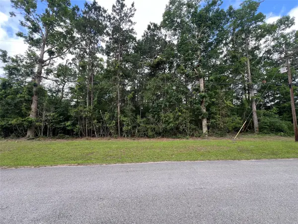 319 Lost Lake Trail, Livingston, TX 77351