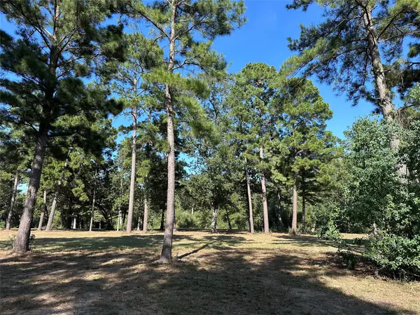 5.3 AC tbd -2 Spring Branch Rd, Montgomery, TX 77316