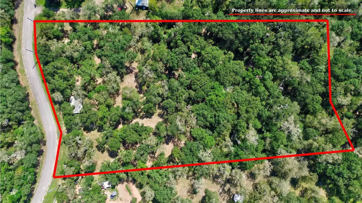 22722 County Road 384 A, Damon, TX 77430 - #1