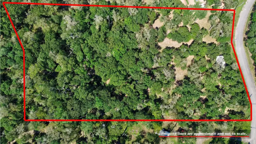 22722 County Road 384 A, Damon, TX 77430 - #3
