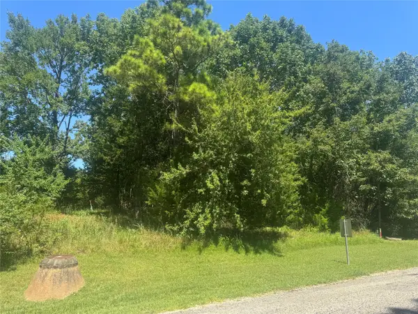 TBD N Forest Cove Loop, Coldspring, TX 77331