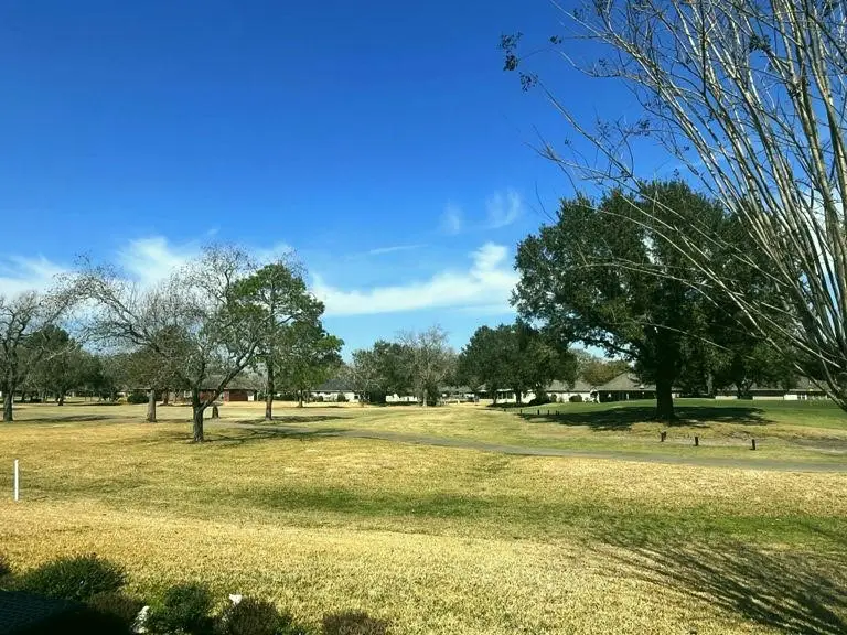 2735 S Peach Hollow Circle, Pearland, TX 77584 - #3