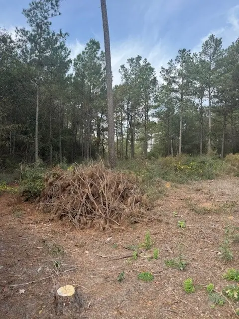 0 Basswood Lane, Plantersville, TX 77363 - Image #2