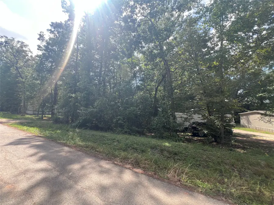 0 Lawrence Drive, Montgomery, TX 77356 - #3