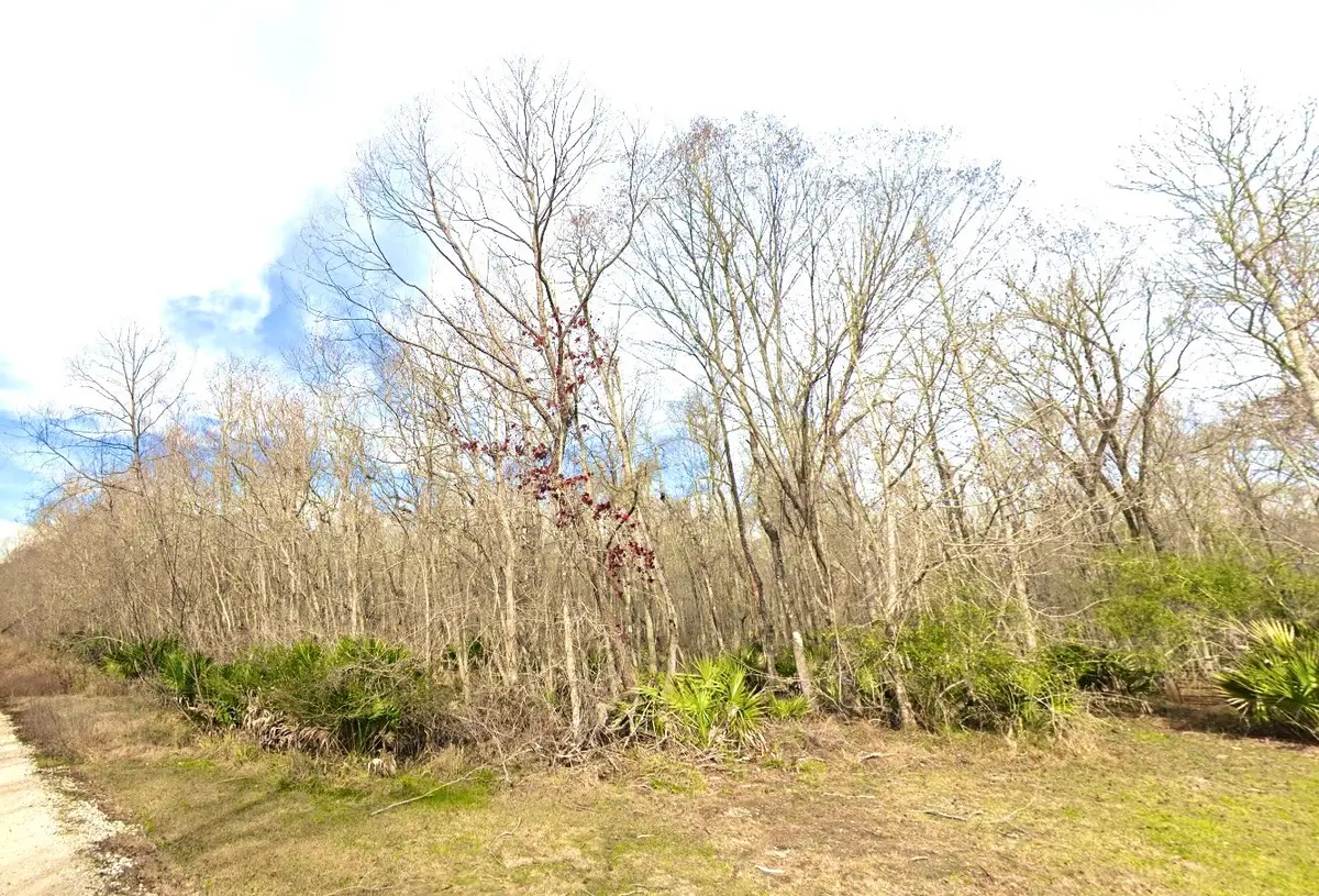 0 Black Cat Road, Sour Lake, TX 77659 - #1