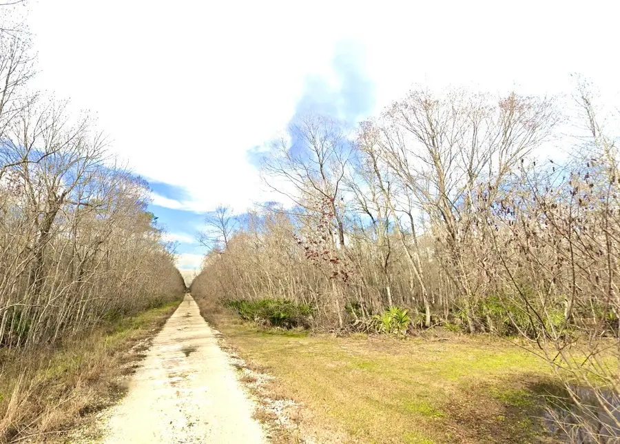 0 Black Cat Road, Sour Lake, TX 77659 - #2