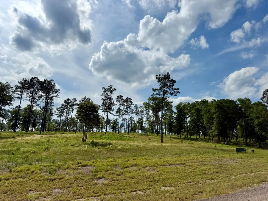 Lot 74 Western Road, Livingston, TX 77351 - #3