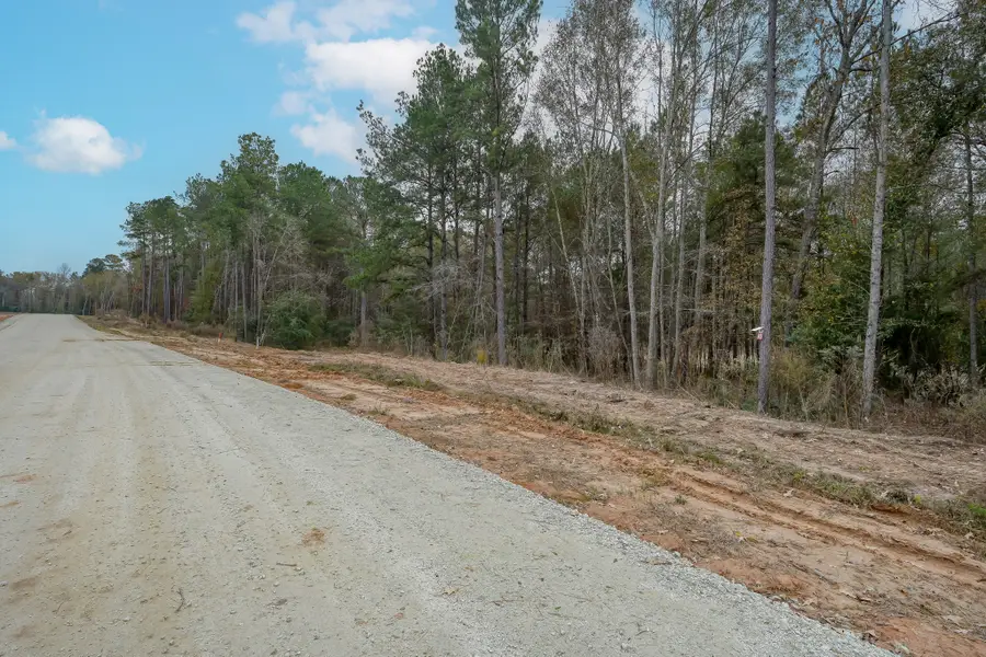 132 Heartland Road, New Waverly, TX 77358 - Image #2