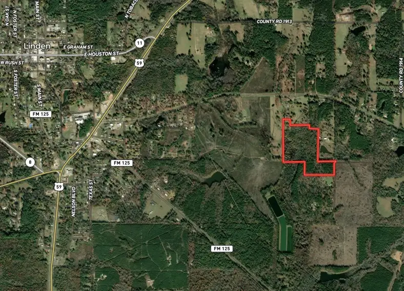 562 County Road 1882, Linden, TX 75563 - #2