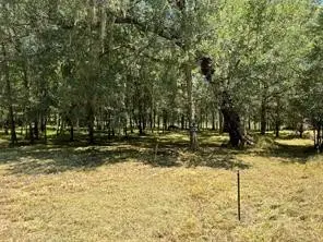 000 Sour Lake Circle, Cleveland, TX 77327 - #1