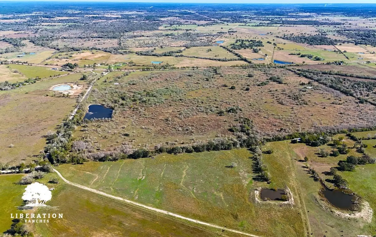 13316 Farm To Market Rd 2620 Tract 6, Bedias, TX 77831 - #1