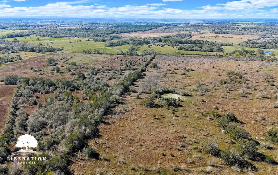 13316 Farm To Market Rd 2620 Tract 6, Bedias, TX 77831 - #3