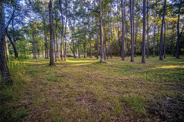 1319 County Road 3434 S, Cleveland, TX 77327