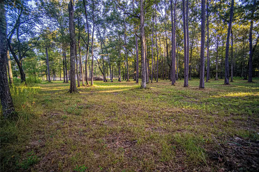 1319 County Road 3434 S, Cleveland, TX 77327 - Image #2