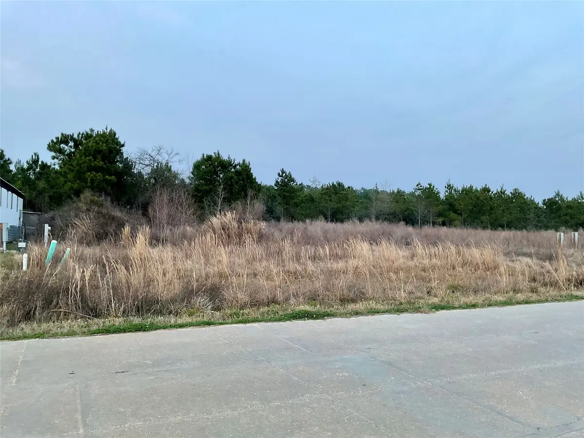 1021 Road 5804, Cleveland, TX 77327 - #1