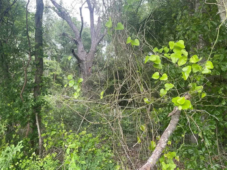 TBD Fm 1469, Marquez, TX 77865 - #3