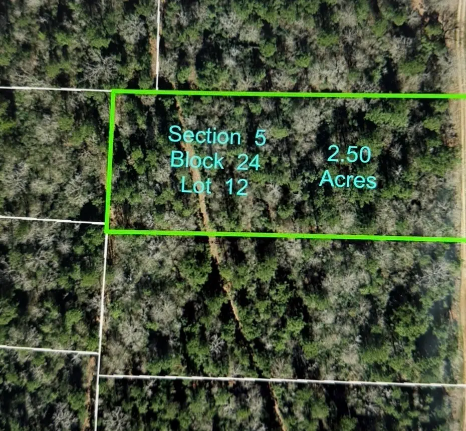 5-24-12 Rim Rock Road, Huntsville, TX 77340 - #1