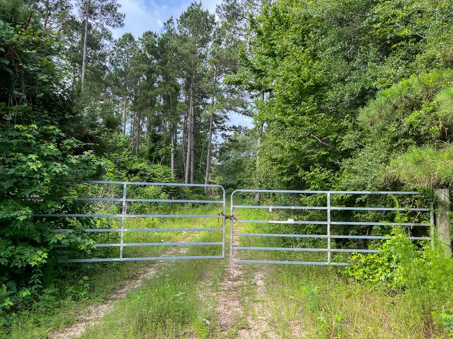12 Fm 1725, Willis, TX 77378 - #3