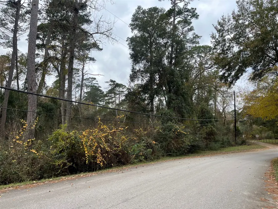 0 TBD Cripple Creek Dr, Pinehurst, TX 77362 - Image #3