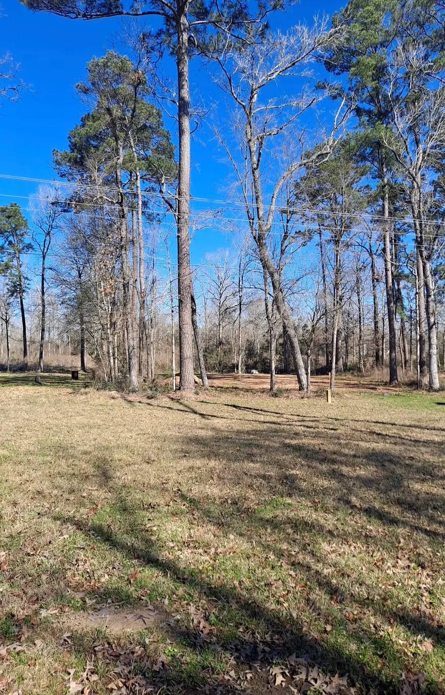 363 Edgewood, Onalaska, TX 77360 - #2