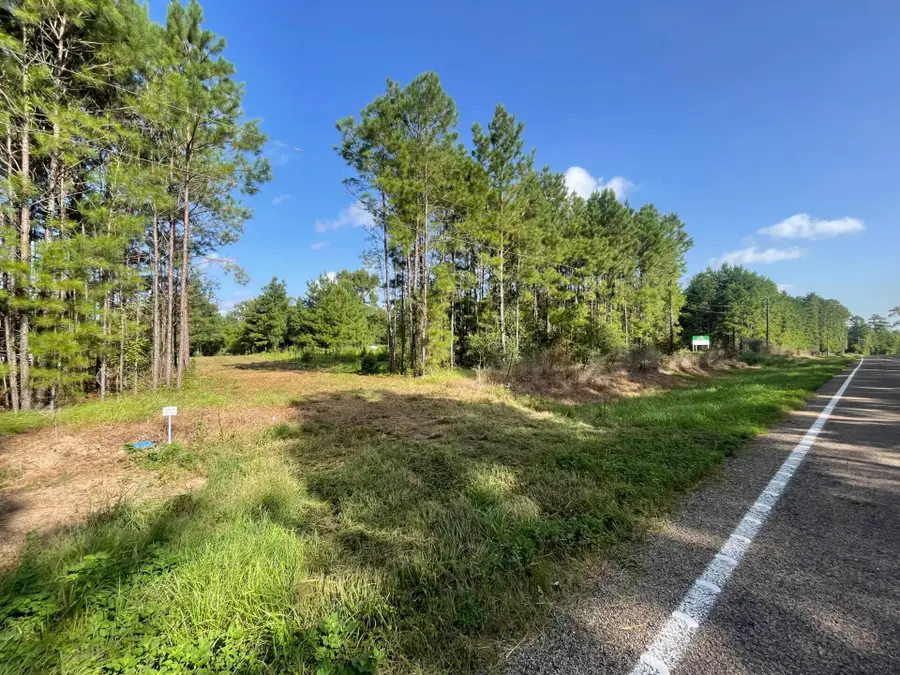 Lot 4 E Fm 942, Livingston, TX 77351 - #2