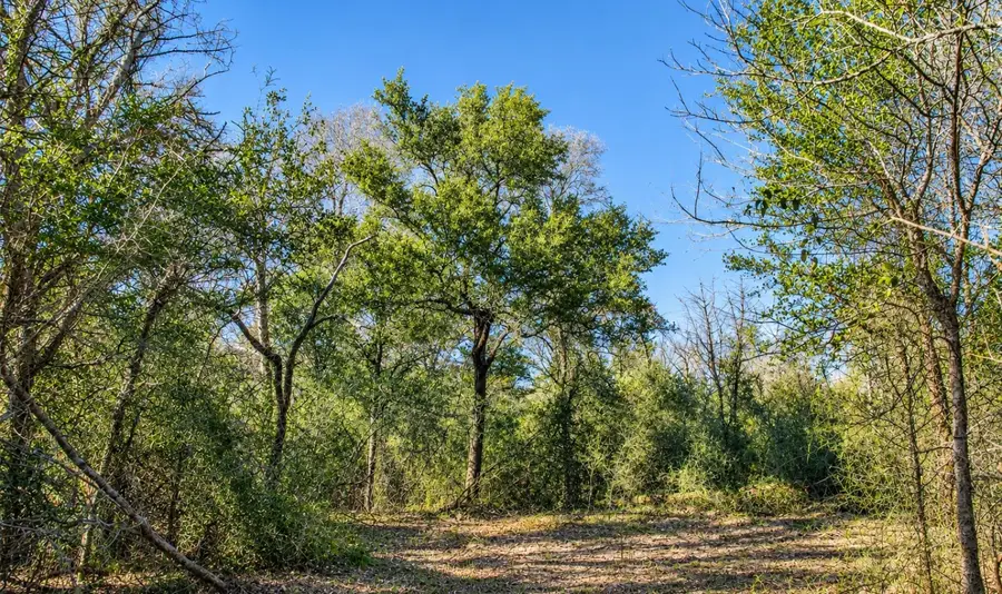 TBD Fm 594, Burton, TX 77835 - #3