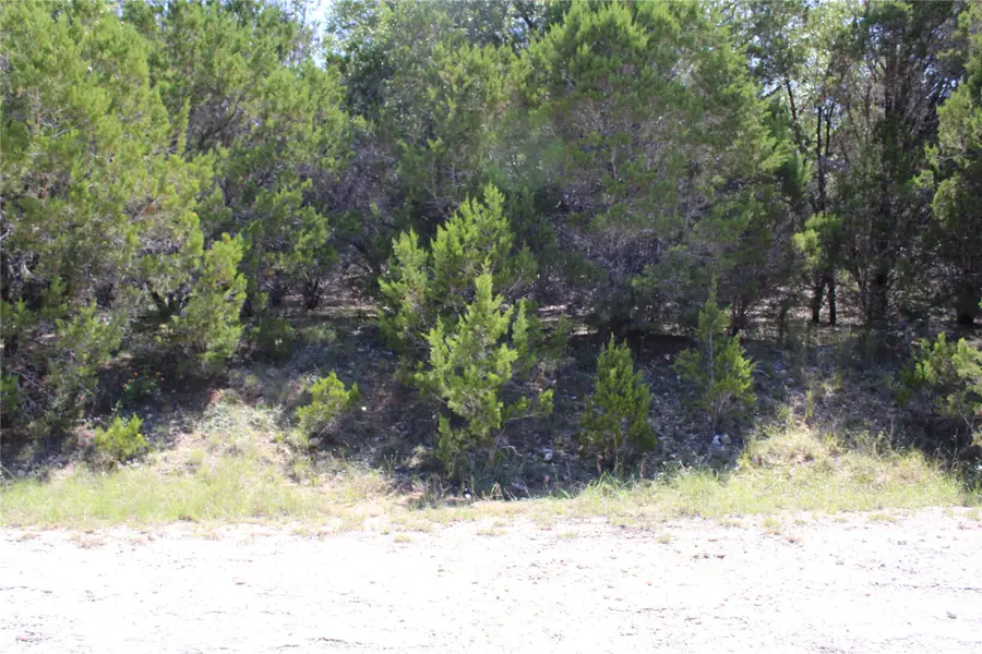 8205 Cedar Glen Cove, Leander, TX 78645 - #3