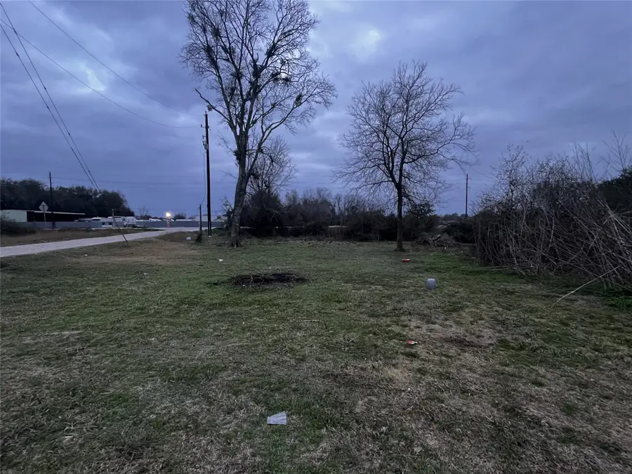 0 Trammel Fresno Road, Fresno, TX 77545 - #3
