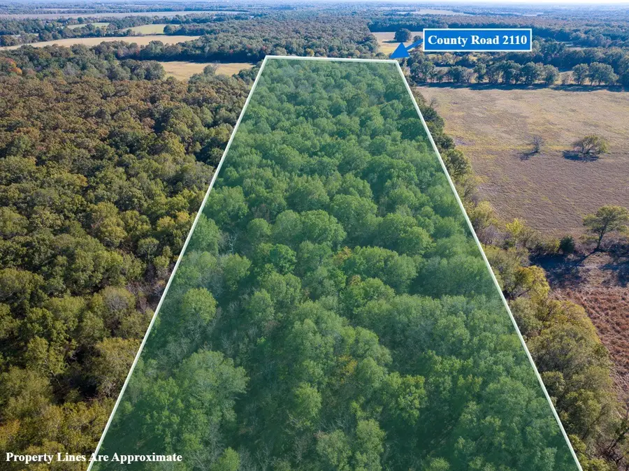 TBD Cr 2110, Clarksville, TX 75426 - #2