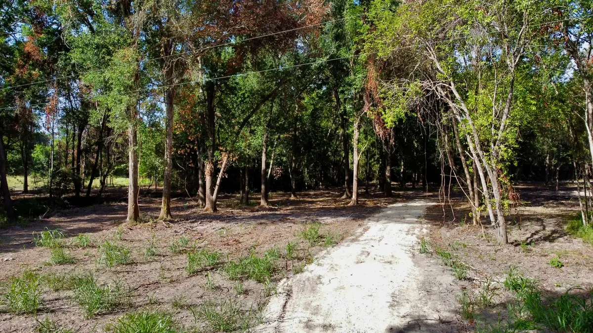 15 Ac Greenbriar Road, Madisonville, TX 77864 - #1