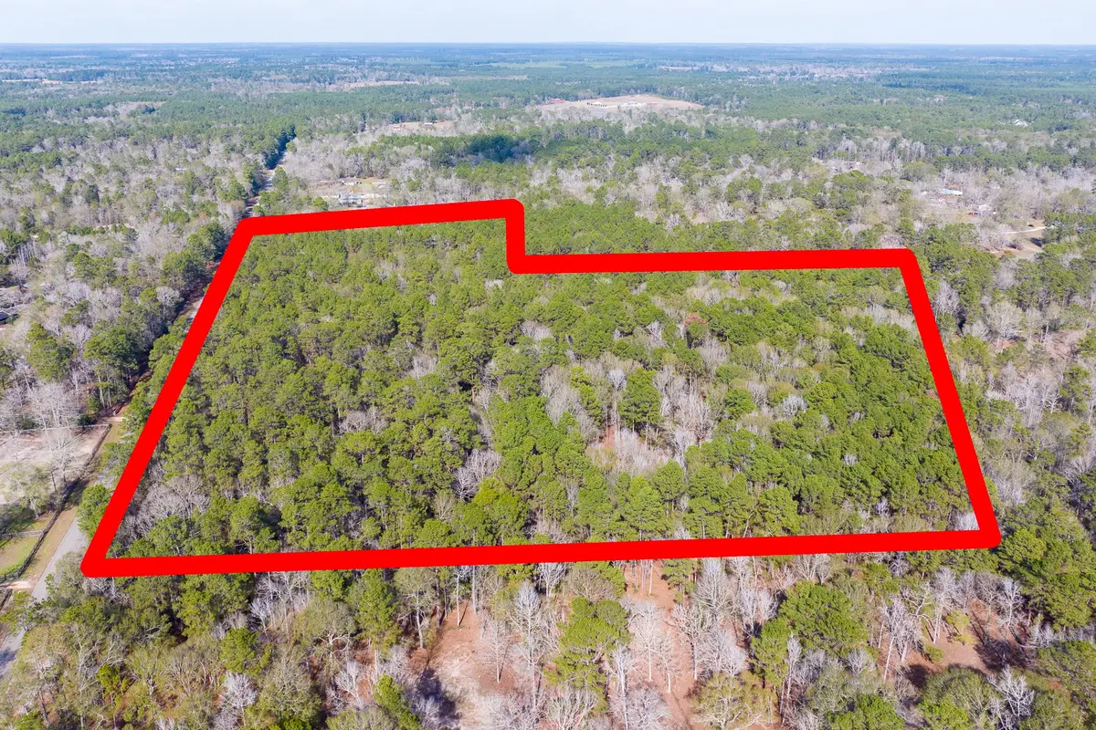 6698 Pine Shadows Road, Cleveland, TX 77328 - #1