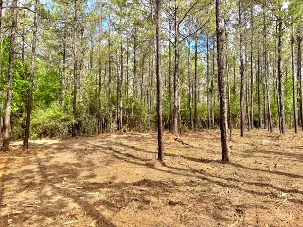1 Benny Griffin Road, Livingston, TX 77351