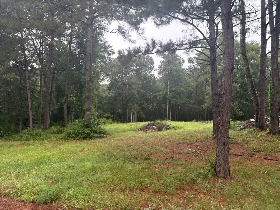 10570 Settlers Crossing, Conroe, TX 77303 - #2