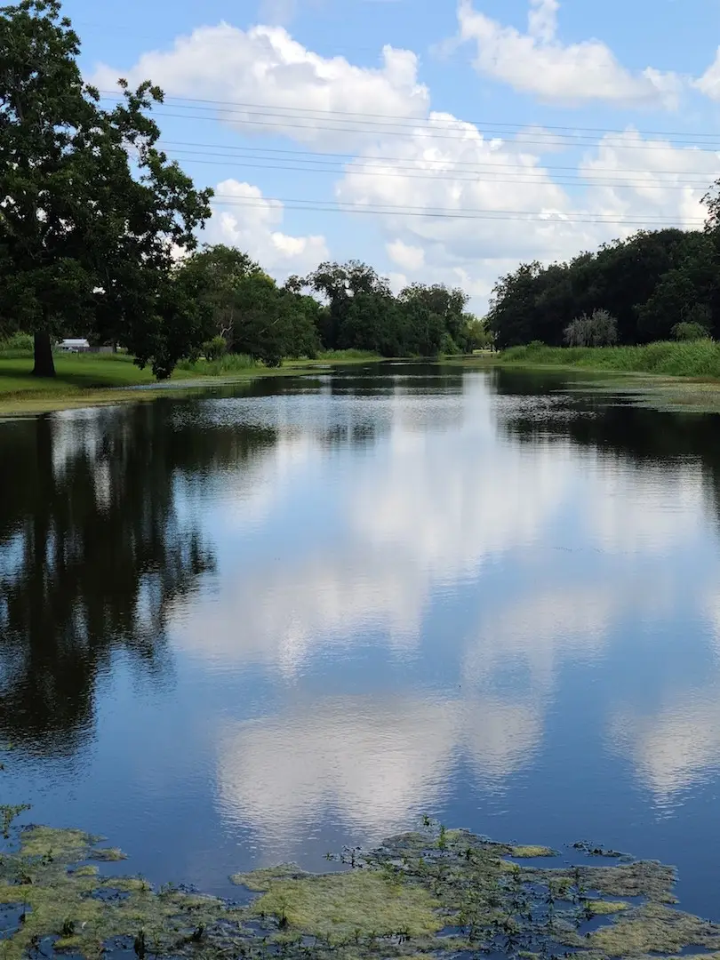 400 Pony Trail, Angleton, TX 77515 - #3